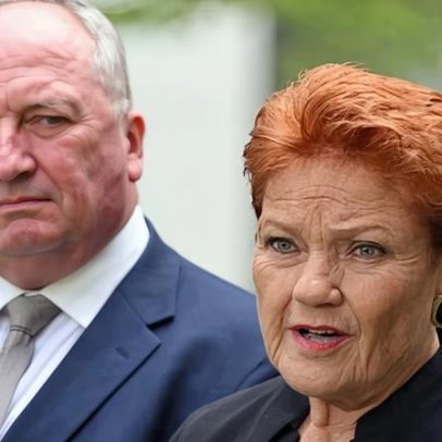 Apoio a One Nation atinge recorde em meio ao caos da coalizão