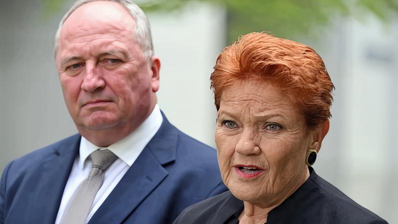 One Nation’s Barnaby Joyce and Pauline Hanson. The party’s primary vote surged by 5 points to 22% in January’s Guardian Essential poll.