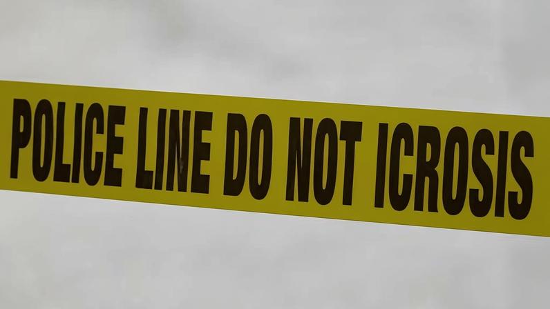 One person is reportedly in custody as investigators are searching for a vehicle suspected to have been used for the shooting.