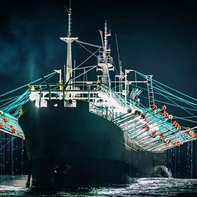 Frota gigante de pescadores de lulas pressiona ecossistema marinho