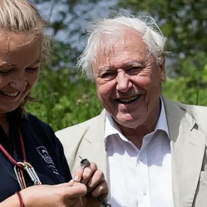 Organização de conservação celebra triplo marco de aniversário