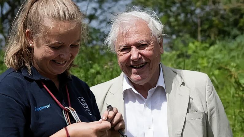 Organização de conservação celebra triplo marco de aniversário