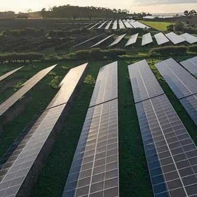 Ano recorde para energia eólica e solar no Reino Unido em 2025