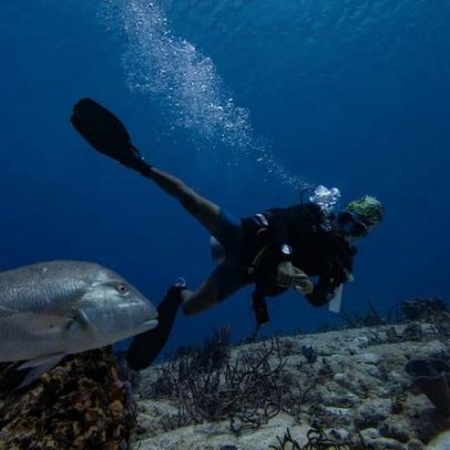 Tratado da biodiversidade da ONU entra em vigor, mira 30% dos oceanos até 2030