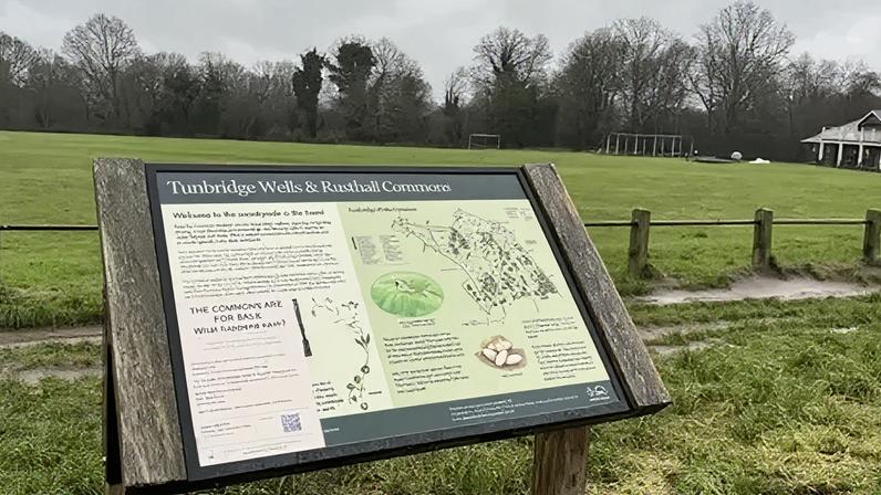 Tunbridge Wells and Rusthall Commons have been put up for sale by owners TargetFollow
