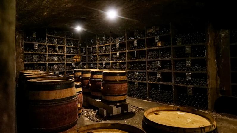 Meursault 2024