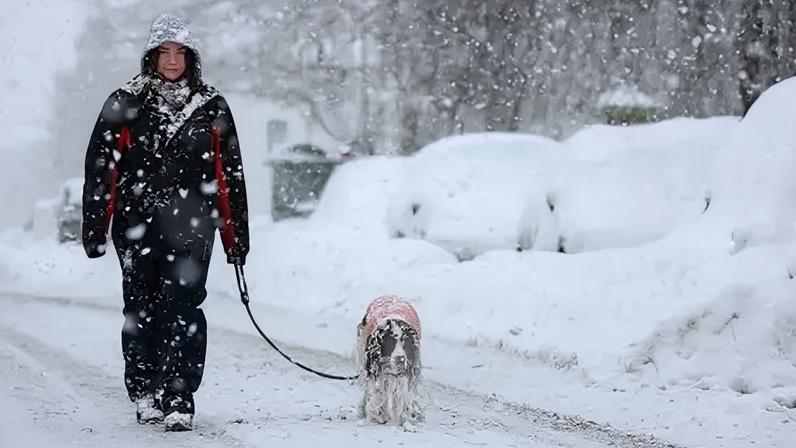 Escolas permanecem fechadas com avisos de gelo