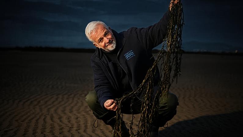 Cientistas cidadãos ajudam a conter alga invasora