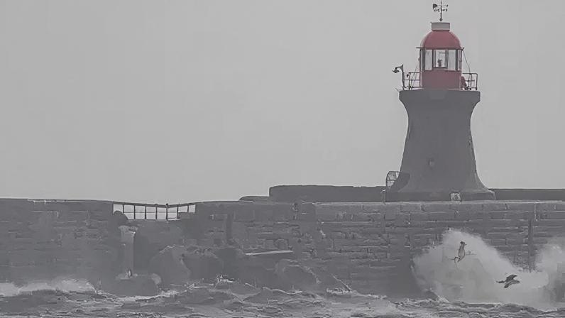 Damage is visible to the pier structure which has large rocks in front of it. There is a light house, large waves and three birds in flight.