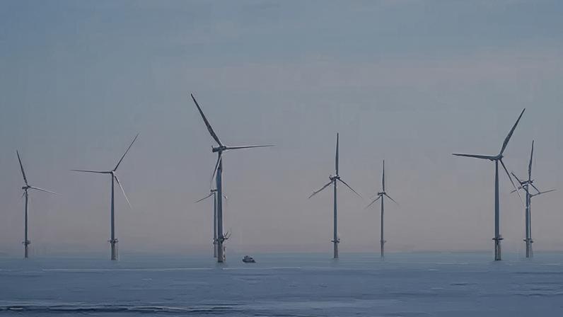 Reino Unido assegura fornecimento recorde de energia eólica offshore, com alta de preços