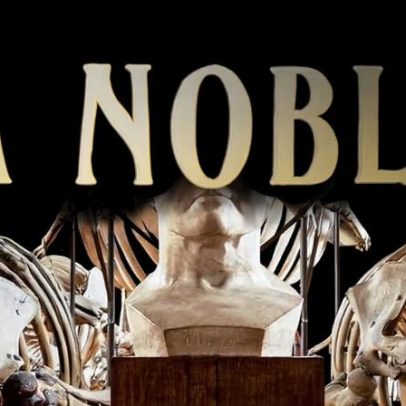 O lado sombrio da coleção: revela história dos grandes colecionadores