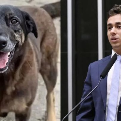 Nikolas Ferreira defende redução da maioridade penal após caso com cachorro