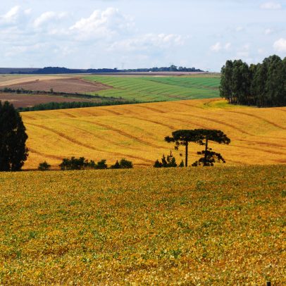 Acordo UE-Mercosul pode impactar o agro brasileiro