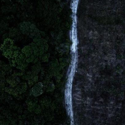 Desafios novos e antigos marcam movimentos socioambientais no Brasil