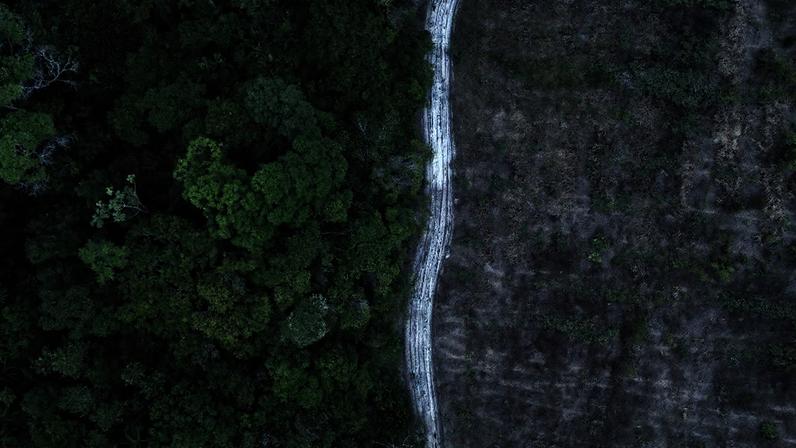 Vista aérea de antiga fazenda de gado sendo reflorestada na Amazônia. Foto: Pablo Porciuncula/AFP