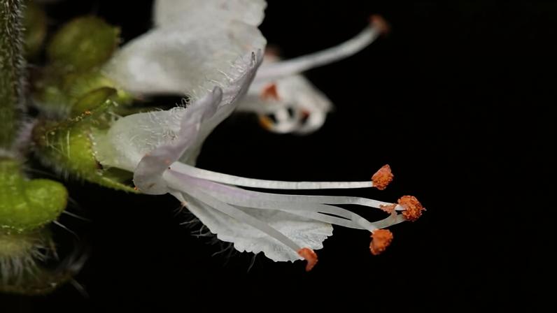 Empreendedor da Amazon espalha sementes de crescimento com papel reciclado
