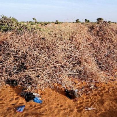 Ataques de drones chocam cidade central do Sudão, guerra se aproxima