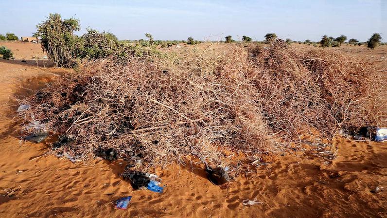 A burial site for the victims of a drone strike, in El Obeid, North Kordofan
