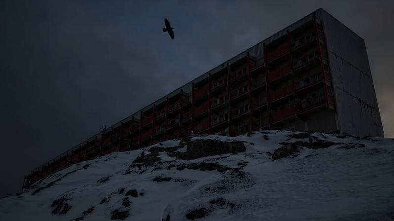 A bird flies past residential building near Nuuk's old harbour
