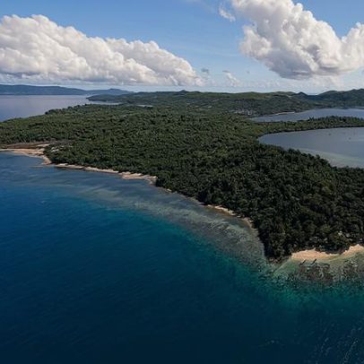Perigos cercam dois dos primatas mais ameaçados do mundo