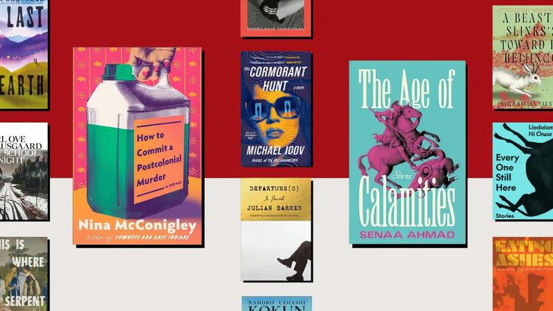 A grid of multiple book covers part of new fiction releases out in January.