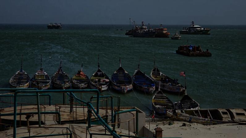 Fim da febre do farelo de peixe na Mauritânia com regulação mais rígida