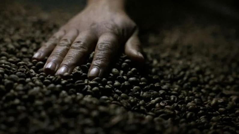 Café torrado em fazenda em Brasília