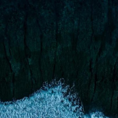 Áreas marinhas protegidas se expandem em 2025, mas seguem longe de 30%