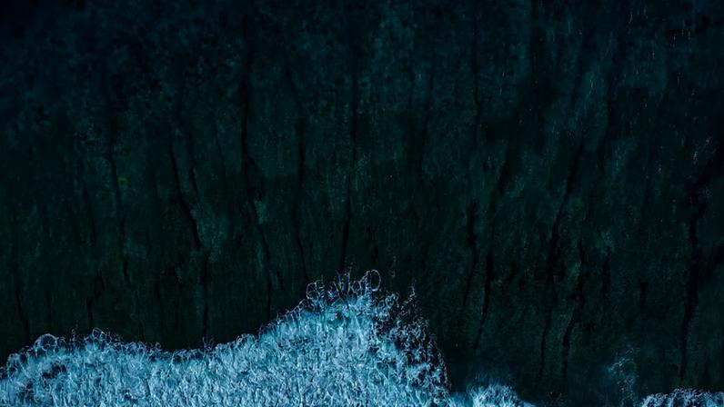 Áreas marinhas protegidas se expandem em 2025, mas seguem longe de 30%