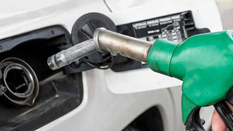gasolina