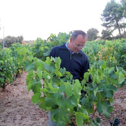 Château Rayas: mistérios duradouros da vinicultura por trás do ícone Rhône