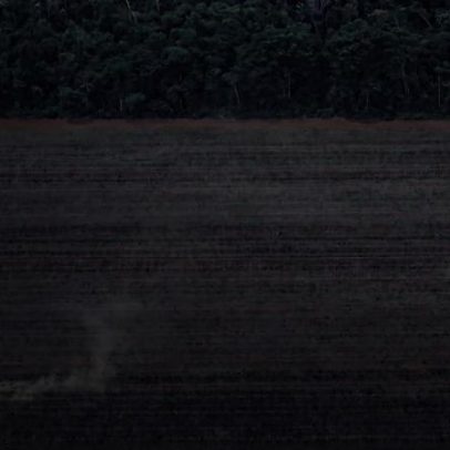 Gigantes da soja deixam acordo de não desmatamento da Amazônia com subsídios sob risco