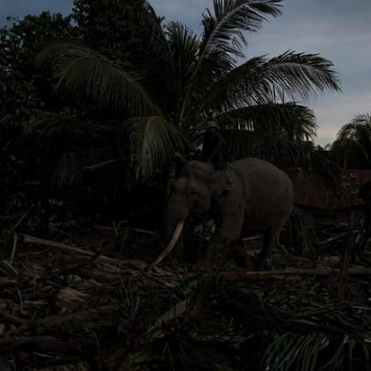 Catástrofe pode oferecer vislumbre de esperança para a Indonésia