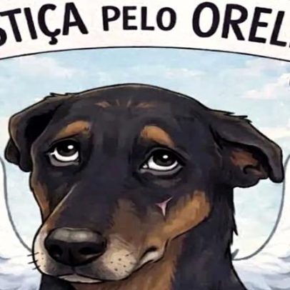 Cidades do DF, RJ e SP promovem atos por justiça ao cão Orelha