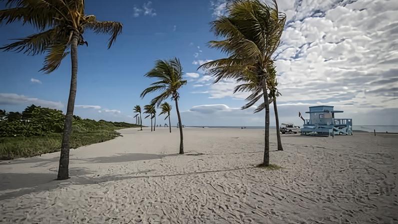 Haulover Park Beach fica entre Bal Harbour e Sunny Isles Beach, com área específica para práticas de naturismo