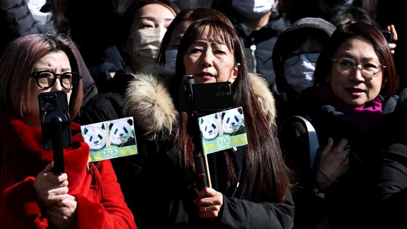 Japan's last two pandas Xiao Xiao and Lei Lei return to China ahead of the end of loan agreement in Tokyo