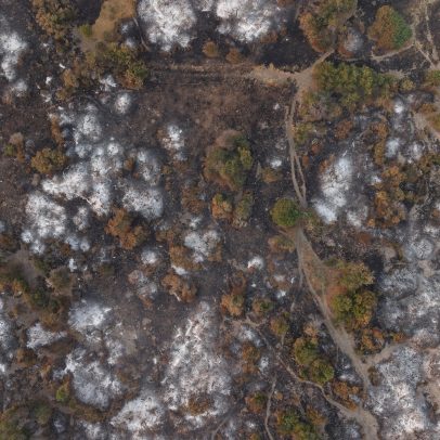 Incêndios na Patagônia geram críticas às medidas de austeridade de Milei