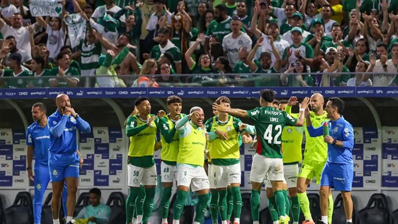 Palmeiras vem de uma vitória sobre o São Paulo (Foto: Vinicius Nunes/Agência F8/Gazeta Press)