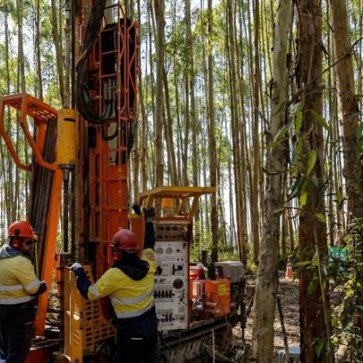 Mineradora de terras raras busca parceria para projeto de US$ 440 milhões