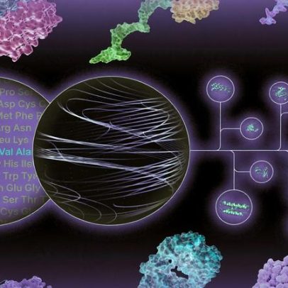 Saúde metabólica do futuro com entrega de fármacos seletiva por tecido