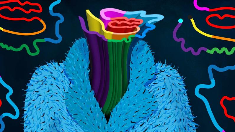MIT chemists showed they can use nuclear magnetic resonance (NMR) to decipher the structure of the fuzzy coat that surrounds Tau proteins. The findings may aid efforts to develop drugs that interfere with Tau buildup in the brain.