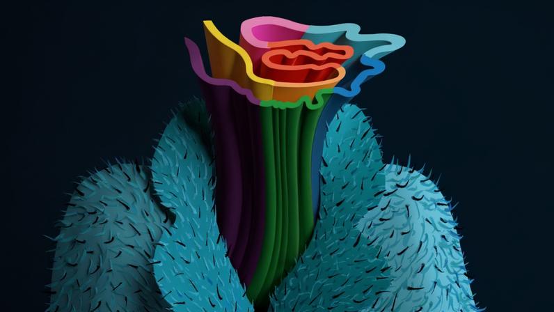 MIT chemists showed they can use nuclear magnetic resonance (NMR) to decipher the structure of the fuzzy coat that surrounds Tau proteins. The findings may aid efforts to develop drugs that interfere with Tau buildup in the brain.