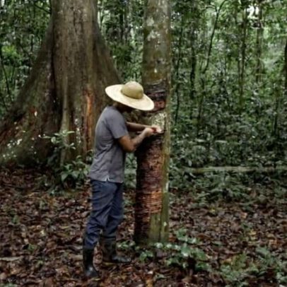 Programa maciço de conservação da Amazônia promete priorizar comunidades