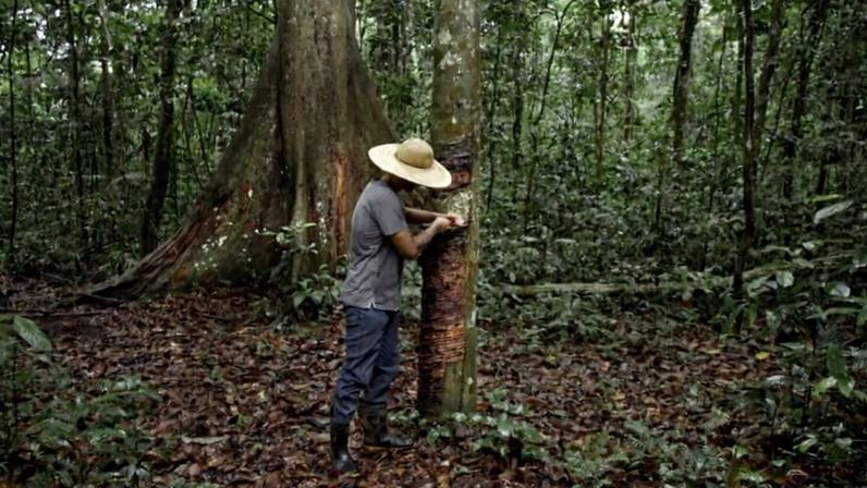 Rogério Barros, young extractive leader and son of Raimundão Barros, at the Chico Mendes extractive reserve
