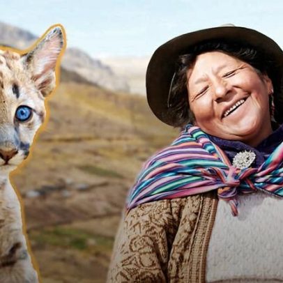 Mulheres garantem futuro para pumas nos Andes