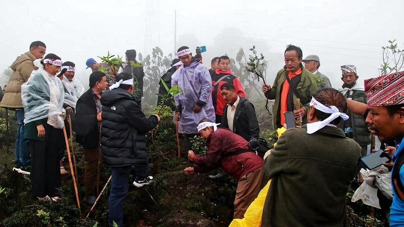 In the weeks since the deforestation in May, banda (protest) organizers launched a campaign to replant 20,000 saplings. Image by Prabin Seling ‘Sendow’.