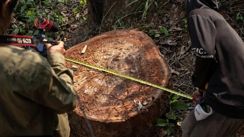Prevenção de crimes ambientais avança para o cenário diplomático