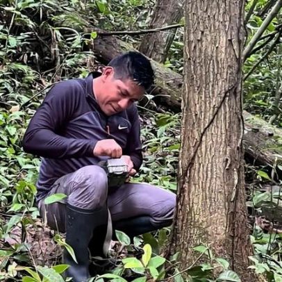 Richar Antonio Demetrio, pesquisador Asháninka publicado, comenta abelhas