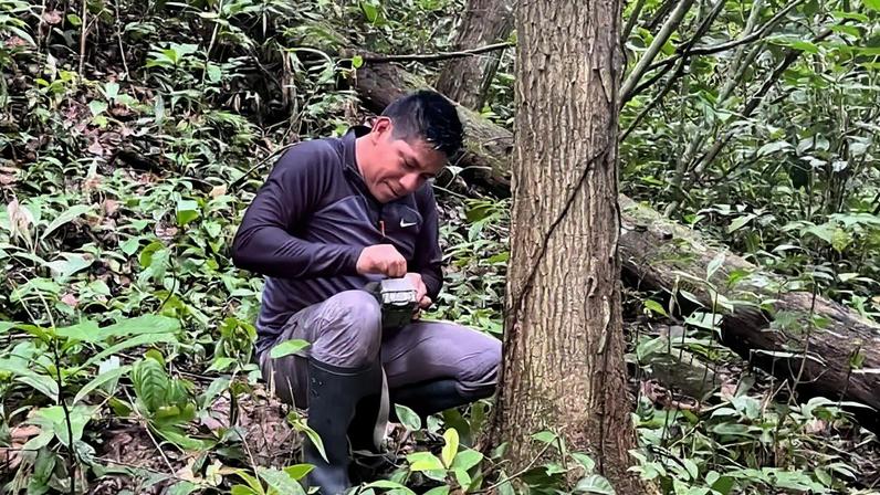 Richar Antonio Demetrio, pesquisador Asháninka publicado, comenta abelhas