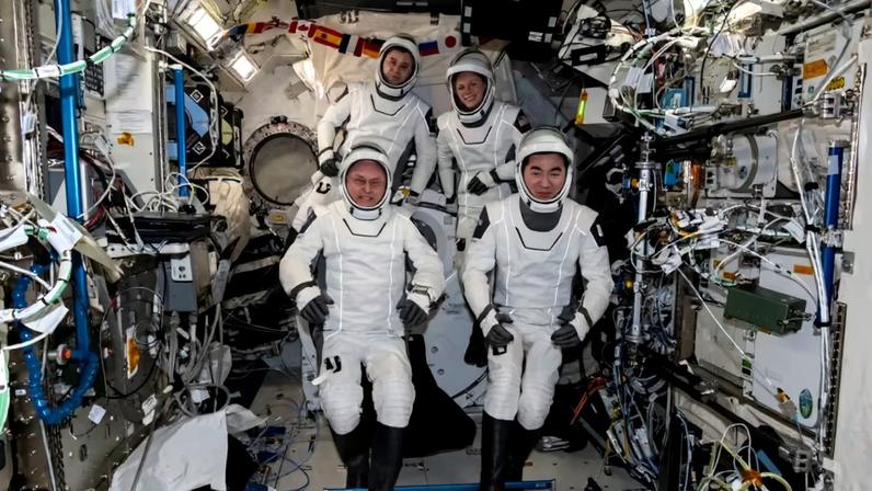Miembros de la misión Crew-11 que regresan a la Tierra antes de lo previsto.